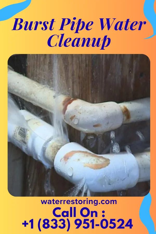 Burst Pipe Water Cleanup in Lake Barrington, IL
