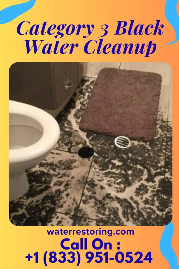 Category 3 Black Water Cleanup in Lake Barrington, IL